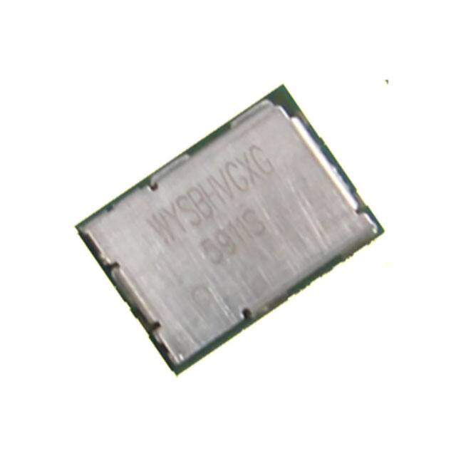 WYSBHVGXG Kaga Electronics USA  RF Transceiver Modules and Modems